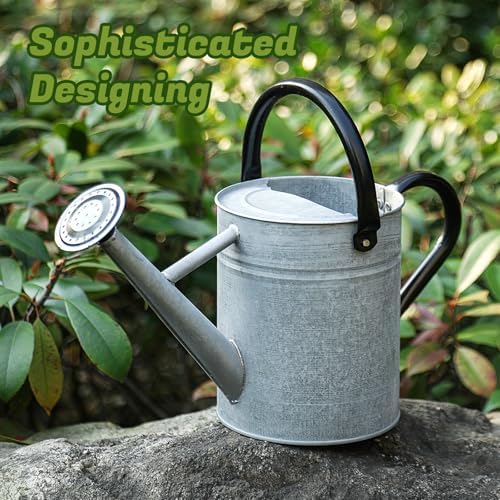 1 Gallon Watering Can for Plants, Watering Cans for Indoor&Outdoor Gardening, Galvanized Steel Watering Pot with Removable Spout, Metal Water Can with Ergonomic Movable Handle(Rustic Silver) - Image 7