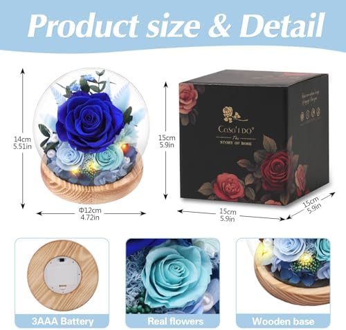 Casaido Preserved Roses Flowers for Delivery, Mothers Day Rose Gifts for Her, Blue Forever Flores in Glass Dome for Women Mom Wife Girlfriend, Anniversary Birthday Rose for Vanlentines Day Christmas - Image 6