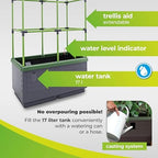 BioGreen Raised Garden Bed with Trellis CITY JUNGLE | 8.98 gal | 13“L x 24“W x 63.4“H | Integrated Irrigation System | Grey Self-Watering Planter Box - Image 3