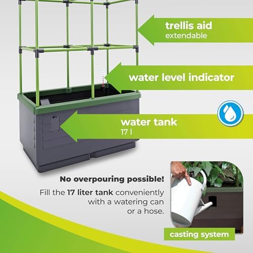 BioGreen Raised Garden Bed with Trellis CITY JUNGLE | 8.98 gal | 13“L x 24“W x 63.4“H | Integrated Irrigation System | Grey Self-Watering Planter Box - Image 3