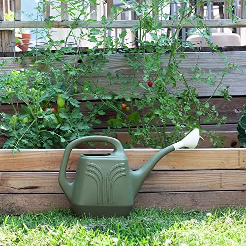 Bloem Promo Watering Can: 2 Gallon Capacity - Living Green - Durable Resin, Removable Nozzle Spout, Two Handles, Wide Mouth, for Indoor and Outdoor Use, Gardening - Image 5