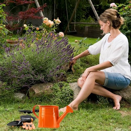 Galvanized Shower Bucket Tinplate Watering Kettle Small Flower Pot Indoor Outdoor Watering Can Garden Container with Handle (F, One Size) - Image 3
