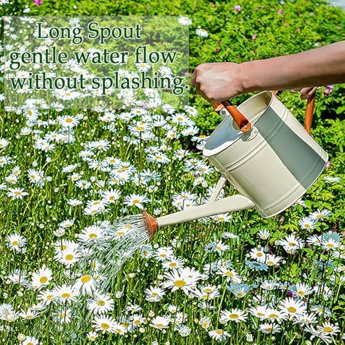 Metal Watering Can for Plants,Watering Cans for Outdoor&Indoor Gardening, Galvanized Steel Water Can with Removable Spout,Watering Pot with Ergonomic Movable Handle (Cream White) - Image 3
