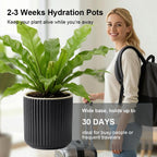 Ceramic Orchid Pot, Clear Nursery Pot & self Watering,5 inch,Black - Image 4