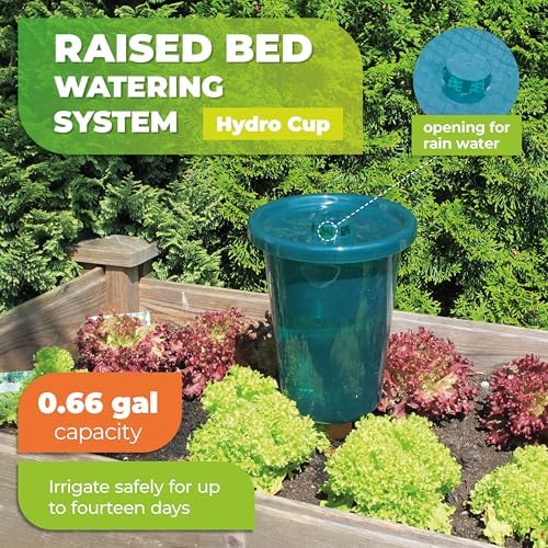 BioGreen Hydro Cup Self Watering Planter Insert | 0.66 gal | Clay Spikes & Cup | Plant Watering Globes w/Level Indicator | Terracotta/Green | 4 Pcs - Image 4