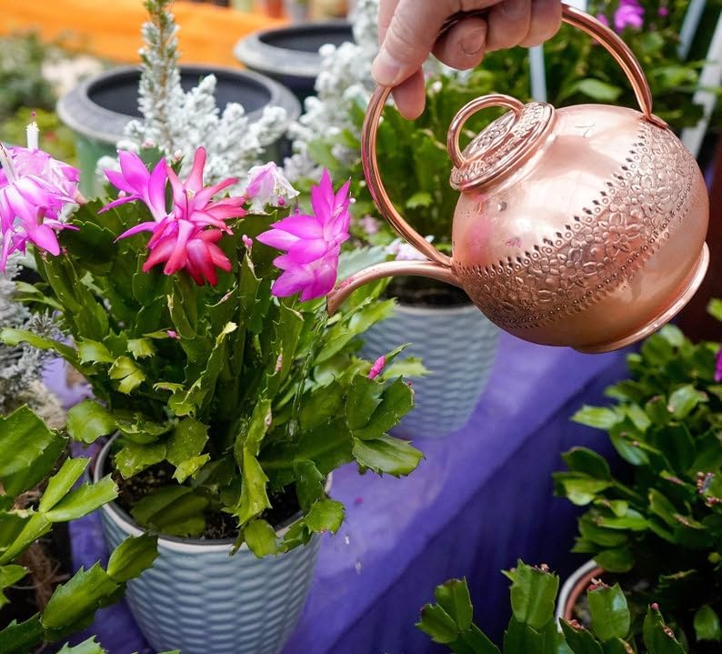 Handmade Pure Copper Watering Can – Mini Flower Watering Pot for Plants, Vintage-Style - Image 4