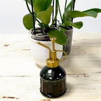 Spear & Jackson Kew Gardens Urban Oasis Collection 05LWCKEW 250ml Plant Mister - Elegant Functional Gold & Green Mist Sprayer for Hydrating & Cleaning Delicate Plants - Image 5