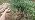 32FT 1/4" Drip Irrigation System with Stakes, 360° Adjustable Watering Kit - Image 7