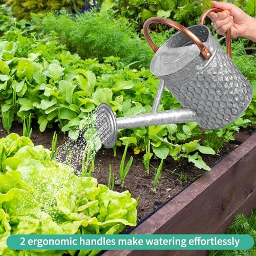 1 Gallon Metal Watering Can for Outdoor Indoor Plants, Galvanized Watering Can with Removable Spray Spout, Ideal for Garden Watering - Image 7