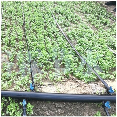 16mm 1-Hole Irrigation System Garden, Drip Irrigation Greenhouse Irrigation Drip Hose Tape Micro Irrigation System Seepage Pipe 1pcs (Color : Space 400mm, Size : 20meters (65.6ft)) by Unknown