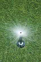 Rain Bird 1804DSF4PK Professional Dual Spray Pop-Up Sprinkler, 360° Full Circle Pattern, 8' - 15' Spray Distance, 4" Pop-up Height, 4-Pack - Image 6