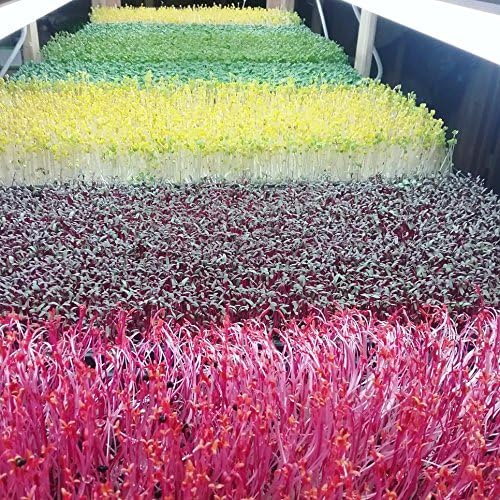 Bootstrap Farmer Shallow 1020 Trays Extra Strength No Hole White 10 Pack - Image 3