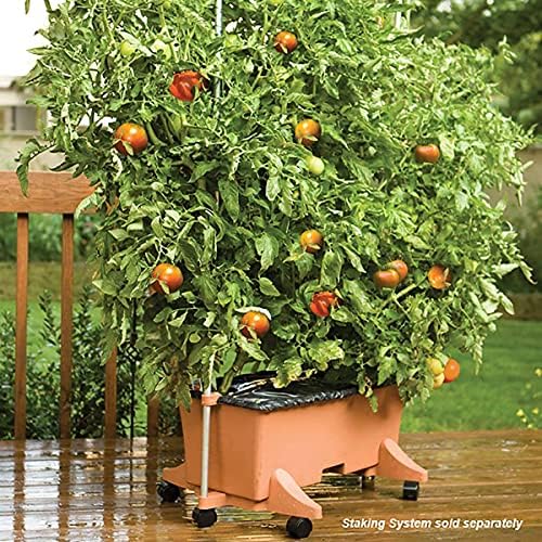 EarthBox Garden Kit,Terracotta (Pack of 2, Standard) - Image 5