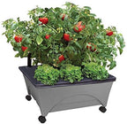 Emsco Group City Picker Raised Bed Grow Box – Self Watering and Improved Aeration – Mobile Unit with Casters - Slate by EmscoGroup