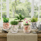 Ceramic-Planters-for-Indoor-Plants with Saucer, 6 inch Vintage Ice Crackle Glaze Plant Pots with Drainage Holes, Decorative Flower Pots for Outdoor Garden Home Decor, Tuscan Pot for Plant - Image 2