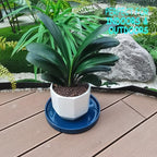 Ceramic Flower Pot Saucers, 9 Inch Plant Pot Saucers for Indoors Plants, Plant Trays for Pots Holding Water Drips and Soil, Drainage Tray for Plant Pot (Blue) - Image 2