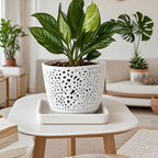 Square Plant Saucer 8 Inch 2 Pack，Plant Trays for Pots, White Ceramic Plant Saucers for Indoors Outdoors, Plant Drip Tray 4 6 8 10 12 14 Inch - Image 6