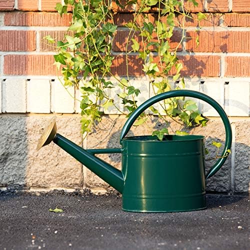 1.3 Gallon Jade Green Metal Watering Can, Removable Spout by HORTICAN