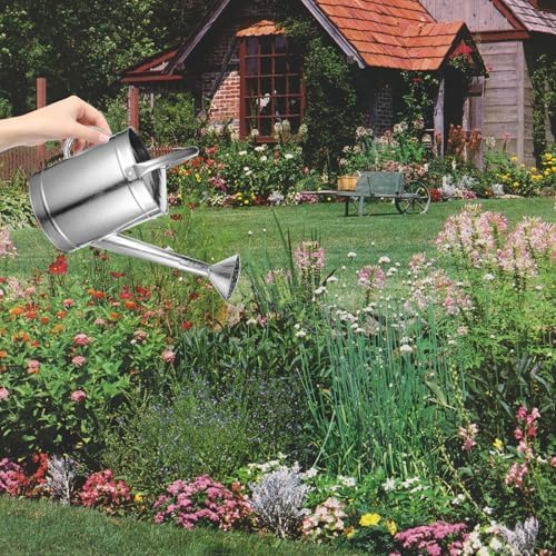 Metal Watering Can for Indoor Plants 5l with Spray Spout and Fixed Handle, Thickened Stainless Steel Watering Pitcher for Houseplants and Garden Use Style - Image 5