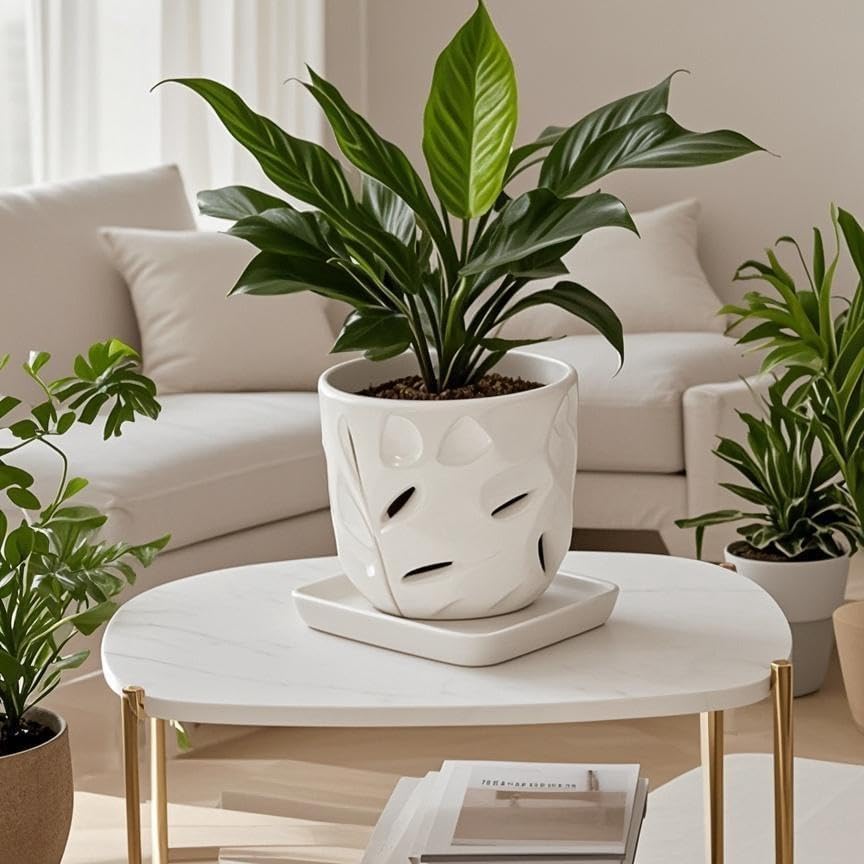 Square Plant Saucer 8 Inch 2 Pack，Plant Trays for Pots, White Ceramic Plant Saucers for Indoors Outdoors, Plant Drip Tray 4 6 8 10 12 14 Inch - Image 4