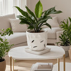 Square Plant Saucer 8 Inch 2 Pack，Plant Trays for Pots, White Ceramic Plant Saucers for Indoors Outdoors, Plant Drip Tray 4 6 8 10 12 14 Inch - Image 4