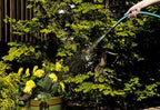 Teknor Apex NeverKink 8615-25, Heavy Duty Garden Hose, 5/8-Inch by 25-Feet - Image 3