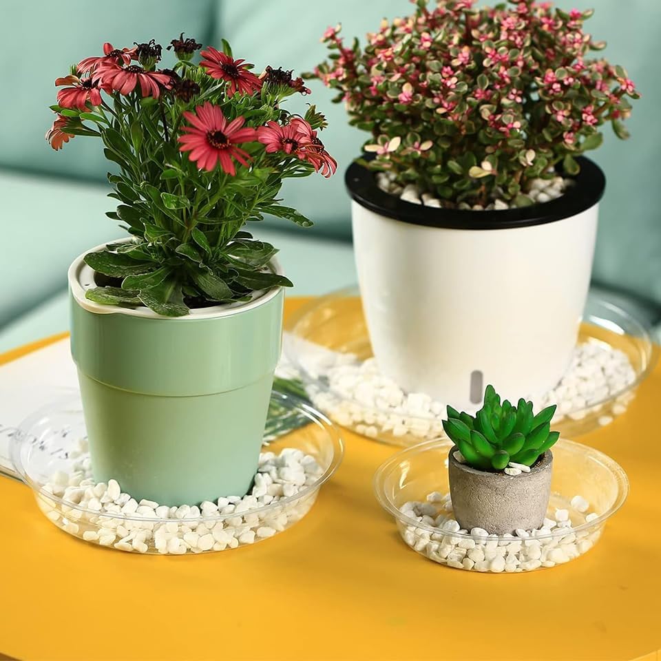 12 Packs 20 Inches Large Clear Plant Saucers for Indoor Outdoor Use Heavy Duty Plastic Plant Trays for Planter Bulk Flower Pot Drip Trays to Catch Water, 4 to 20 Inch - Image 2