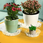 50 Packs 12 Inches Large Clear Plant Saucers for Indoor Outdoor Use Heavy Duty Plastic Plant Trays for Planter Bulk Flower Pot Drip Trays to Catch Water, 4 to 20 Inch - Image 2