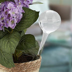 Relaxdays Watering Ball Set of 2, Dosed Plants Watering, Flower Pot, Watering Aid Office, Glass, Diameter 9 cm, Transparent - Image 2