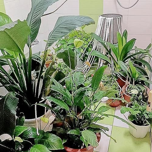 Self Drip Watering Cotton Core Rope Capillary Wick Cord, for Garden Home Plants Violet Potted DIY Automatic Irrigation Equipment (Size : Length 20m Dia 4mm) - Image 4