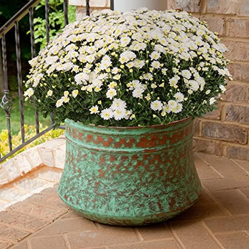 Liberty Garden 1917-G Hose Pot, Hammered, Patina and Bionic Steel 1582 50Ft Hose, 50' - Image 4