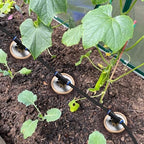 6pcs Olla Watering System Large 64oz Ollas Pot Plant Self Watering Garden Watering System 4.8x4.8x10in Irrigation System Olla Watering System Automatic Plant Watering Devices for Garden Shrub - Image 6