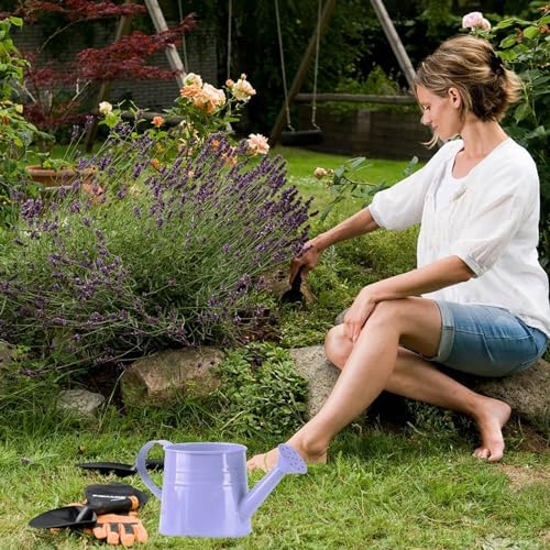 Galvanized Shower Bucket Tinplate Watering Kettle Small Flower Pot Indoor Outdoor Watering Can Garden Container with Handle (D, One Size) - Image 3