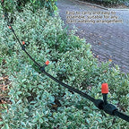 Haofy 49.2FT Quick Connect Drip Irrigation System Kit Automatic Garden Watering System for Garden Greenhouse Lawn Potted Plants - Image 6