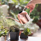 Stainless Steel Watering Kettle Can Long-mouthed Plant Indoor Small Pot Gardening(Metallic) - Image 5