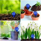 6Pcs Indoor Plant Watering Globes Automatic Self Water Bulbs Irrigation Device Decorative - Image 3