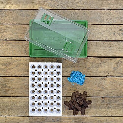 Park Seed Bio Dome Seed Starter Kit with 40 Jumbo Cell Planting Block, Base Tray, Humidity Dome & 40 Bio Sponges - Image 2