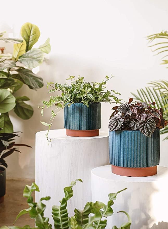 LE TAUCI Ceramic Pots for Plants, 8+6.7+5.5 Inch Plant Pots Indoor, Flower Pot with Drainage Holes, Medium Cylinder Planters for Indoor House Plants, Set of 3, Blue - Image 4