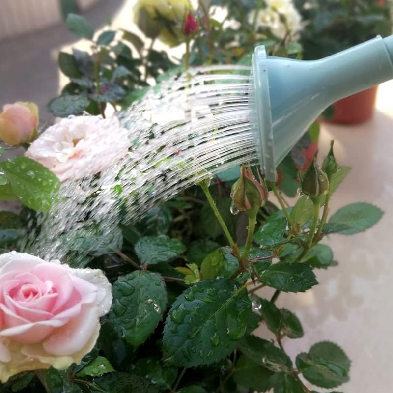 1.8L Watering Can for Indoor Plants Long Spout Water Comfort Handle Garden Tool Flower(C) - Image 6