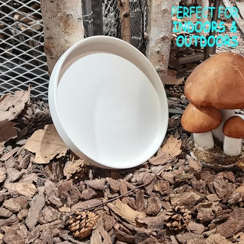 Plant Saucer for Indoors - 12 Inch Ceramic Plant Saucer Plant Water Catcher Tray Plant Pot Saucer Plant Drainage Tray, Durable Sturdy Flower Pot Saucers (Frosted White) - Image 2