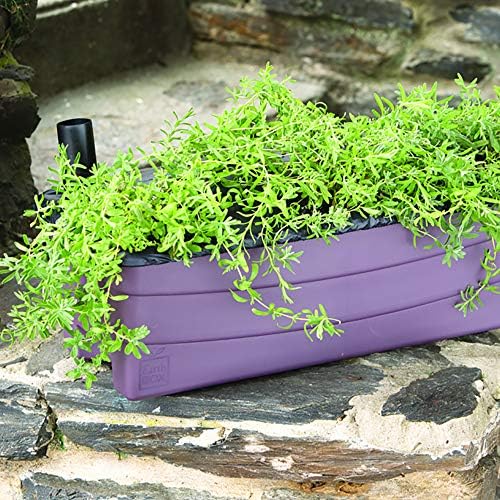 EarthBox 80606.01 Junior Garden Kit, Standard, Eggplant, Plastic, Indoor/Outdoor, 23"L x 9.5"W x 7.25"H - Image 2