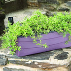 EarthBox 80606.01 Junior Garden Kit, Standard, Eggplant, Plastic, Indoor/Outdoor, 23"L x 9.5"W x 7.25"H - Image 2