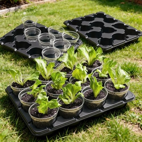 homenote 4 Inch Seed Starting Trays with Humidity Domes for Plants, 4 Pack 12-Cell Seedling Starter Trays, Plant Starter Germination Trays for Pots Seedlings for Indoor,4" Opening Compatible Pots - Image 7