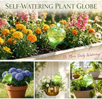 4 Pack 17 oz Large Plant Self Watering Globes to 2 Weeks Watering, Green - Image 5