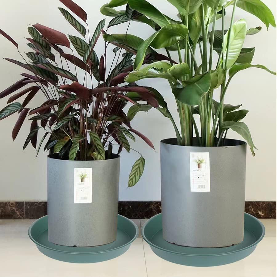 2 Pack of 16 17 inch Plant Saucer (15 inch Base), 2.3" Depth, Plant Trays for Pots, Plastic Plant Saucers for Indoors, Bird Bath Bowls, Flower Pot Drip Trays for Planter (17", Green) - Image 6