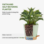 FaithLand 2 Tier Plant Stand and 2-Pack 8 Inch Self Watering Pots Bundle - Image 7