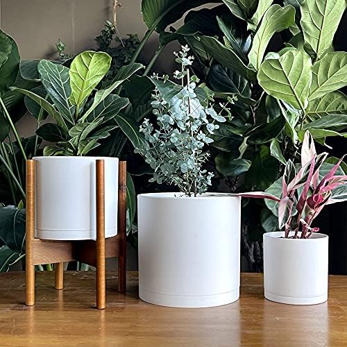 D'vine Dev 3-Pack Plastic Pots & Saucers, 6.5/8/10 in, White, 74-V-A-4 - Image 3