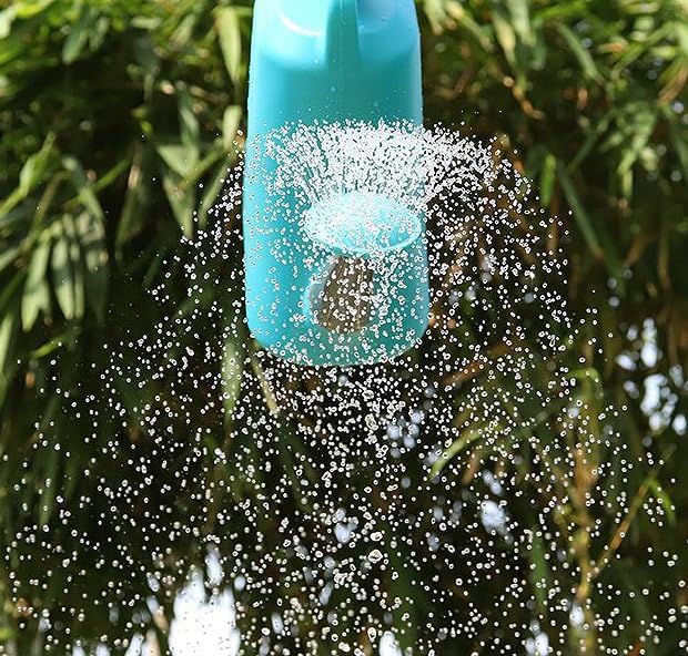 2 Gallon Watering Can for Plants, 9L Large Plastic Garden Watering Can with Removable Spout, Sprinkling Can for Outdoor Lawn Patio (Dark Green) - Image 5