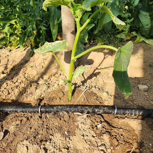 Atlantic Soaker Hose 100 FT x1/2" Garden Soaker Hose, Water Seeper Hoses for Foundation Watering, Garden Beds, Garden, Lawn and Plants - Image 5