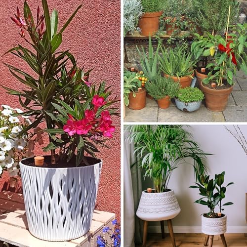 8pcs Ollas Self Watering Terracotta Planter Terra Cotta Clay Watering Spikes for Indoor Outdoor Plants - Large Reservoir Bulbs - Image 6
